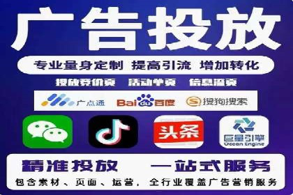 SEM广告投放策略：成功案例解析